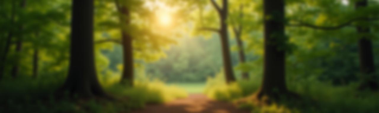 Fae Forest Furnishings Privacy Policy banner with lush forest in bokeh background